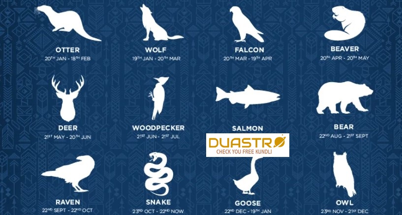 Native American Astrology Animal Symbolism 